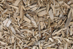 biomass boilers Ardchullarie More